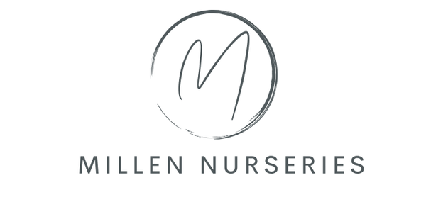 Millen Nurseries